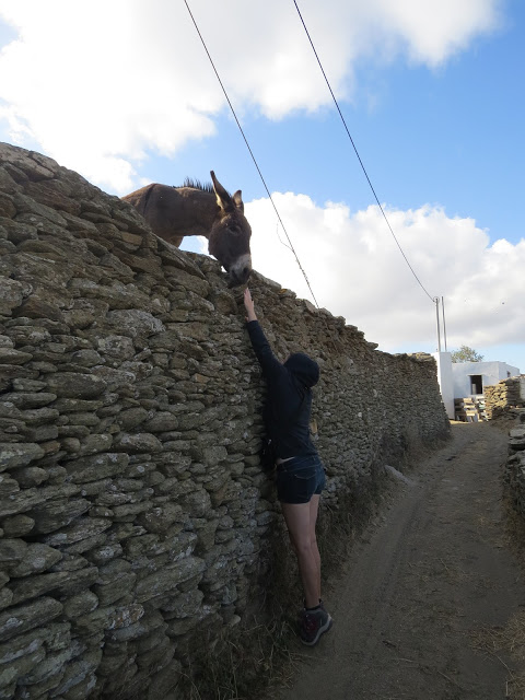 Apollonia capitale Sifnos