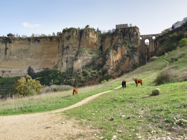 Vue sur Ronda Andalousie 