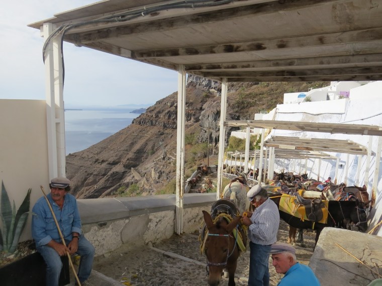 ânes ancien port de fira
