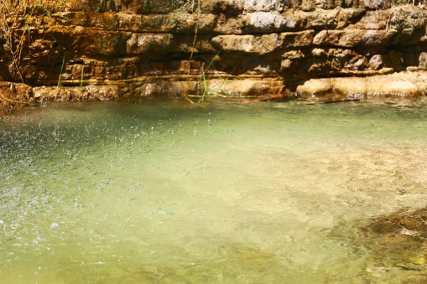 Parc Ein Gedi_israel 