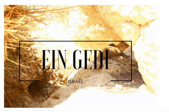 Eing Gedi israel