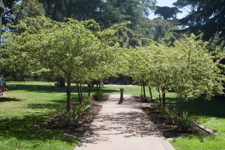 Golden gate Park