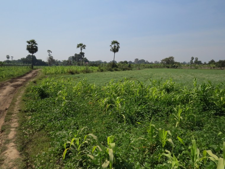 Inwa Birmanie Mandalay