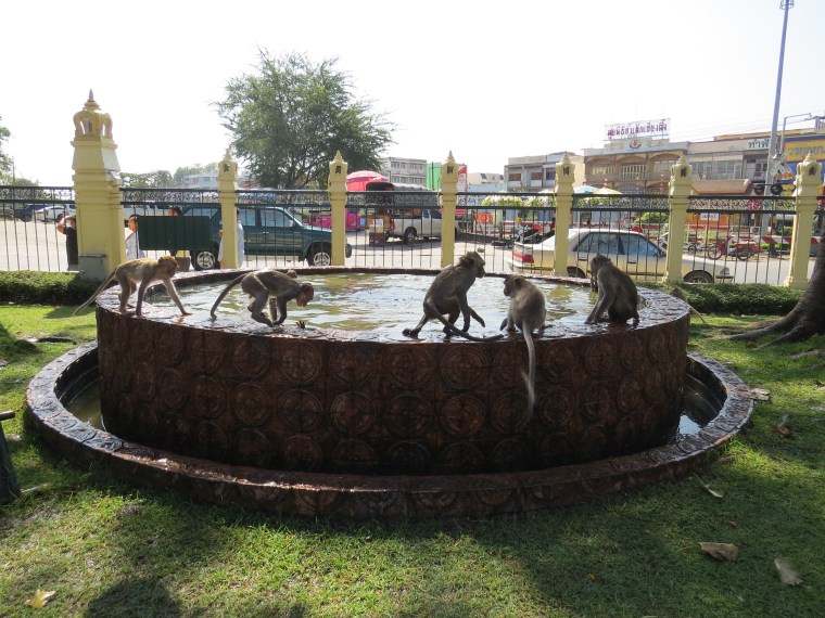 Ville des singes près Bangkok