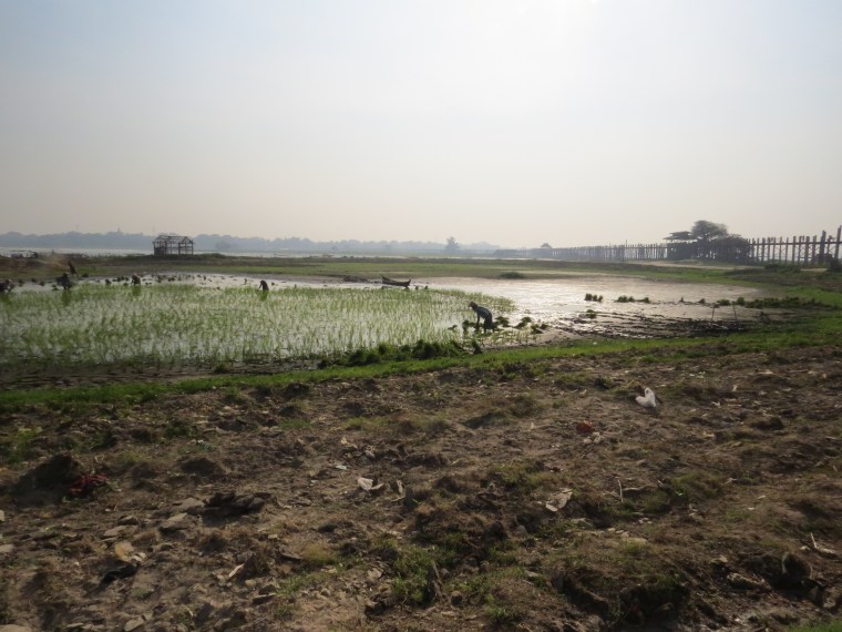 Pont u bein long pont en teck