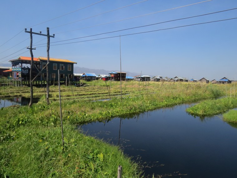Jardin flottant Lac Inlé