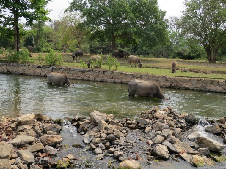 Cascades 4000 îles Laos 