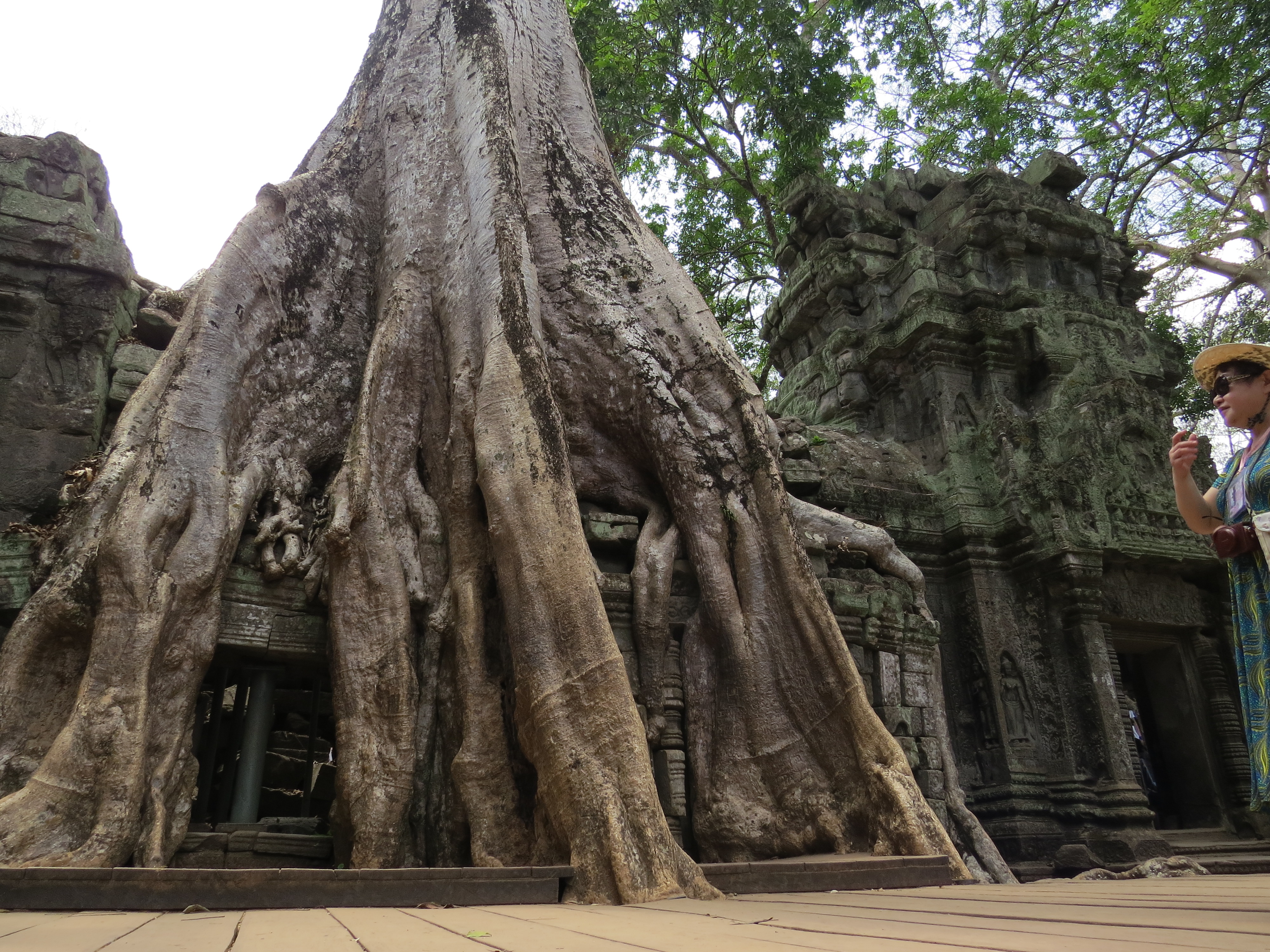 temple Ta Prohm 