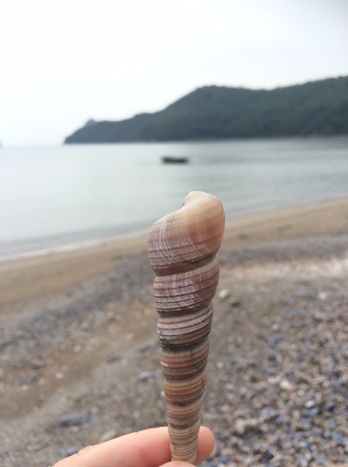 Plage Cat ba Vietnam