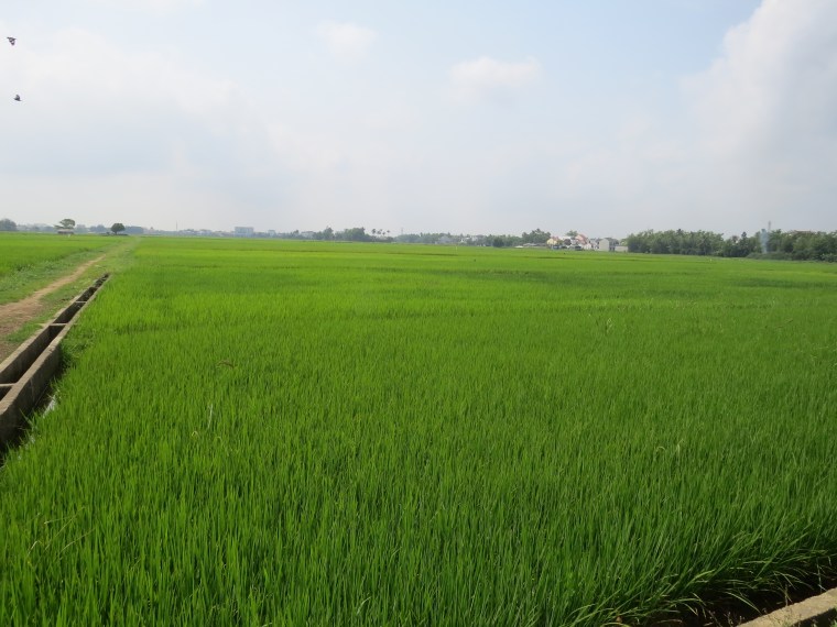 Hoi AN route de Haibatrang