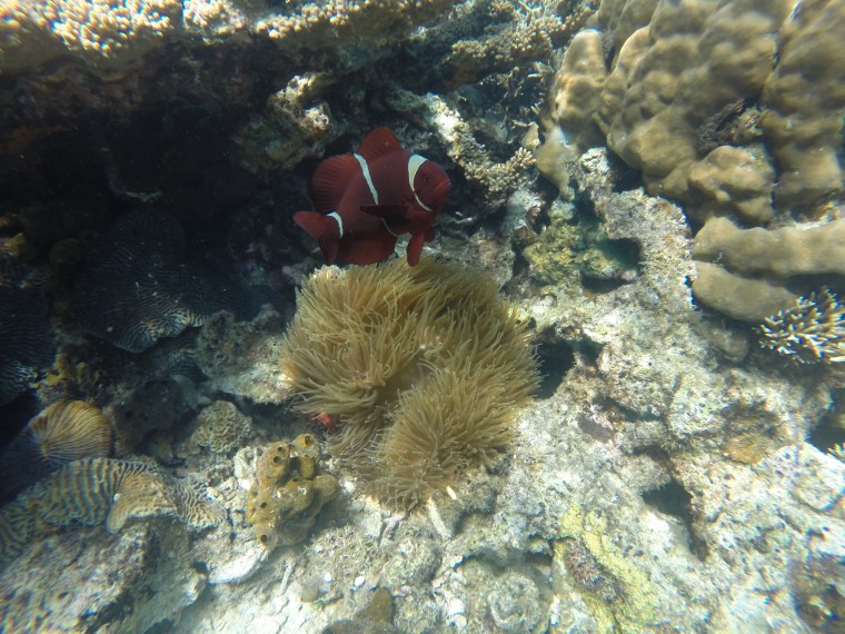 Island Hopping Port Barton