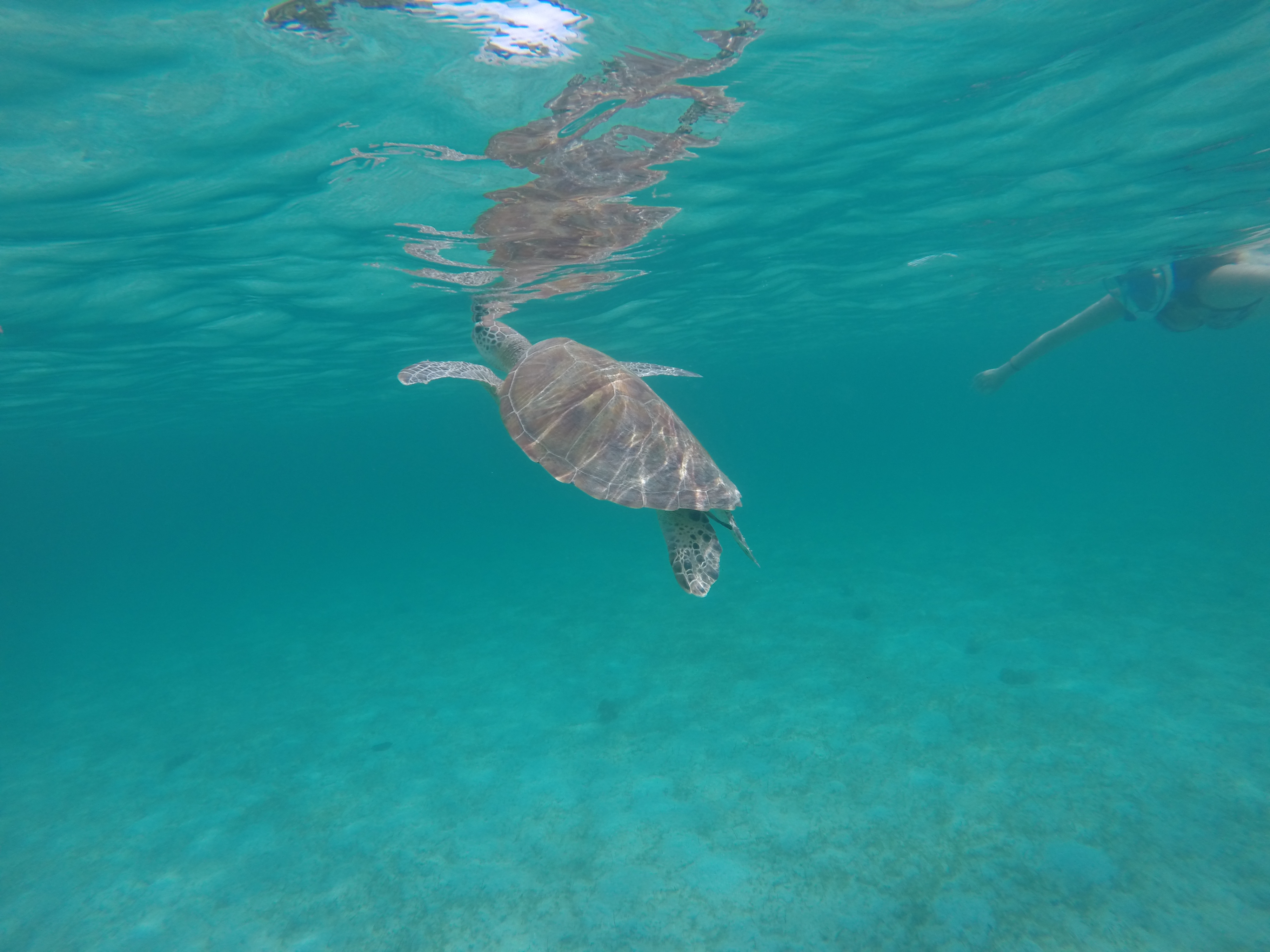 Island Hopping Port Barton