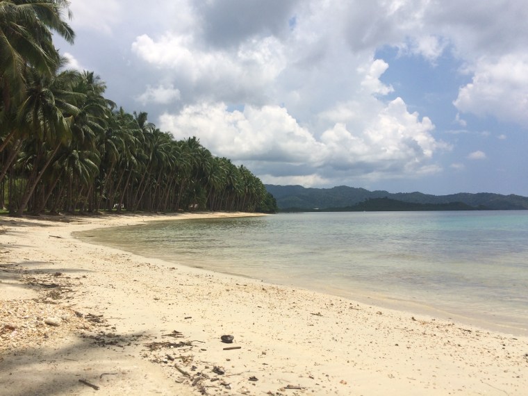 Coconut beach Port Barton