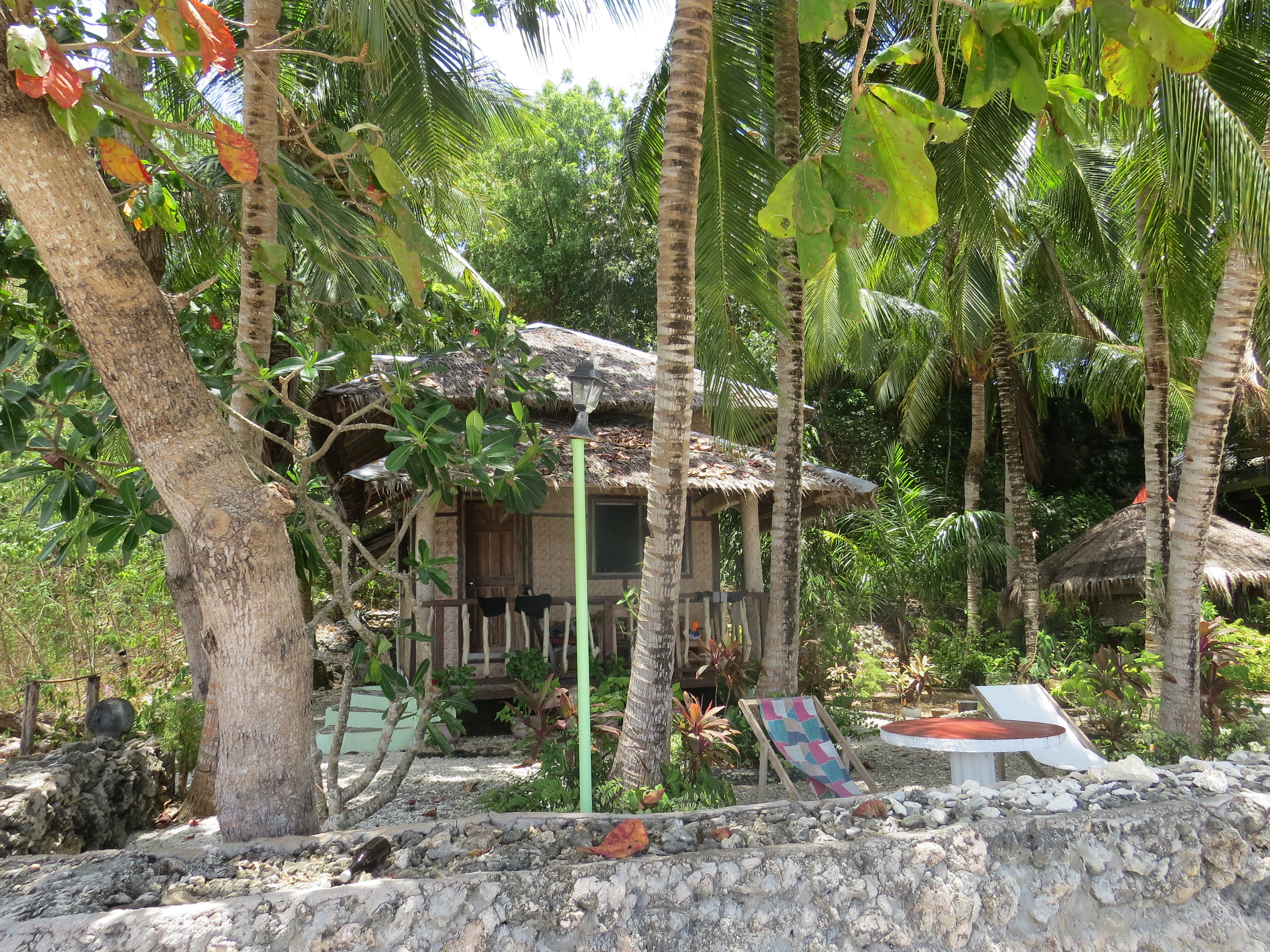 Kiwi dive resort Siquijor