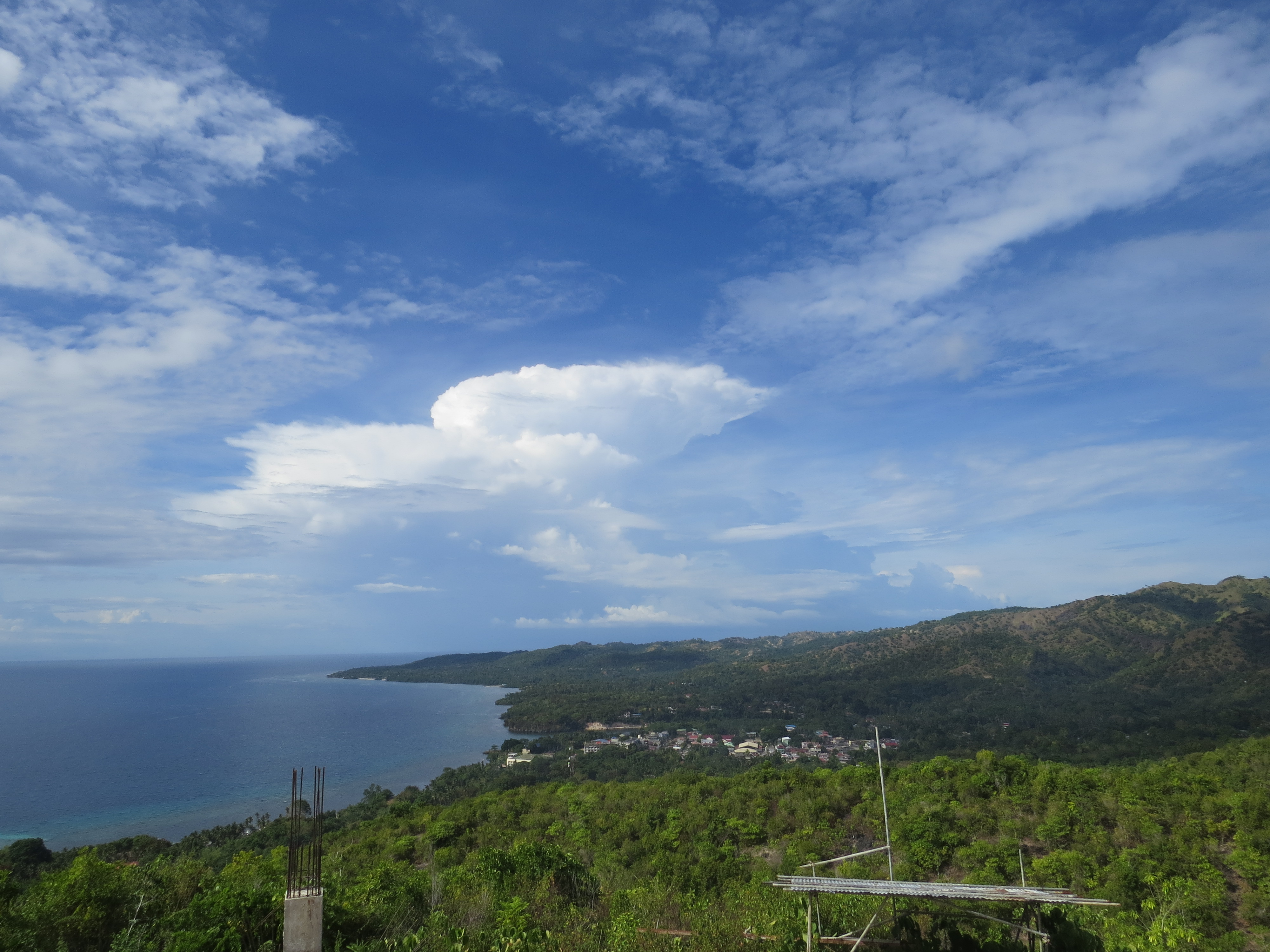 Point de Vue Triad Coffee