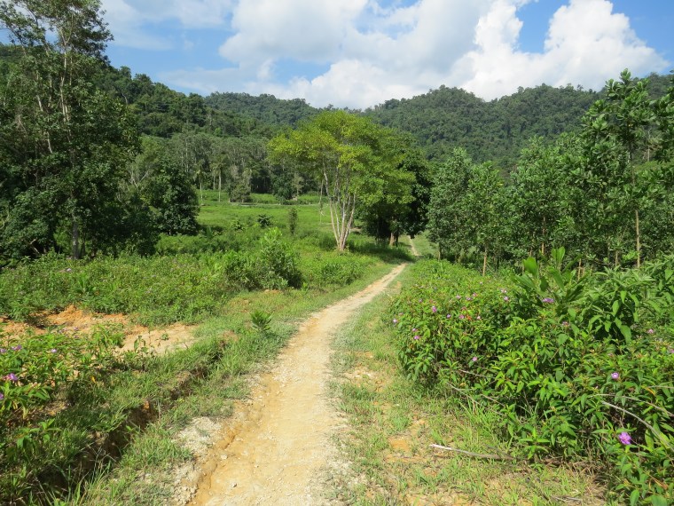 Jungle bar Port Barton