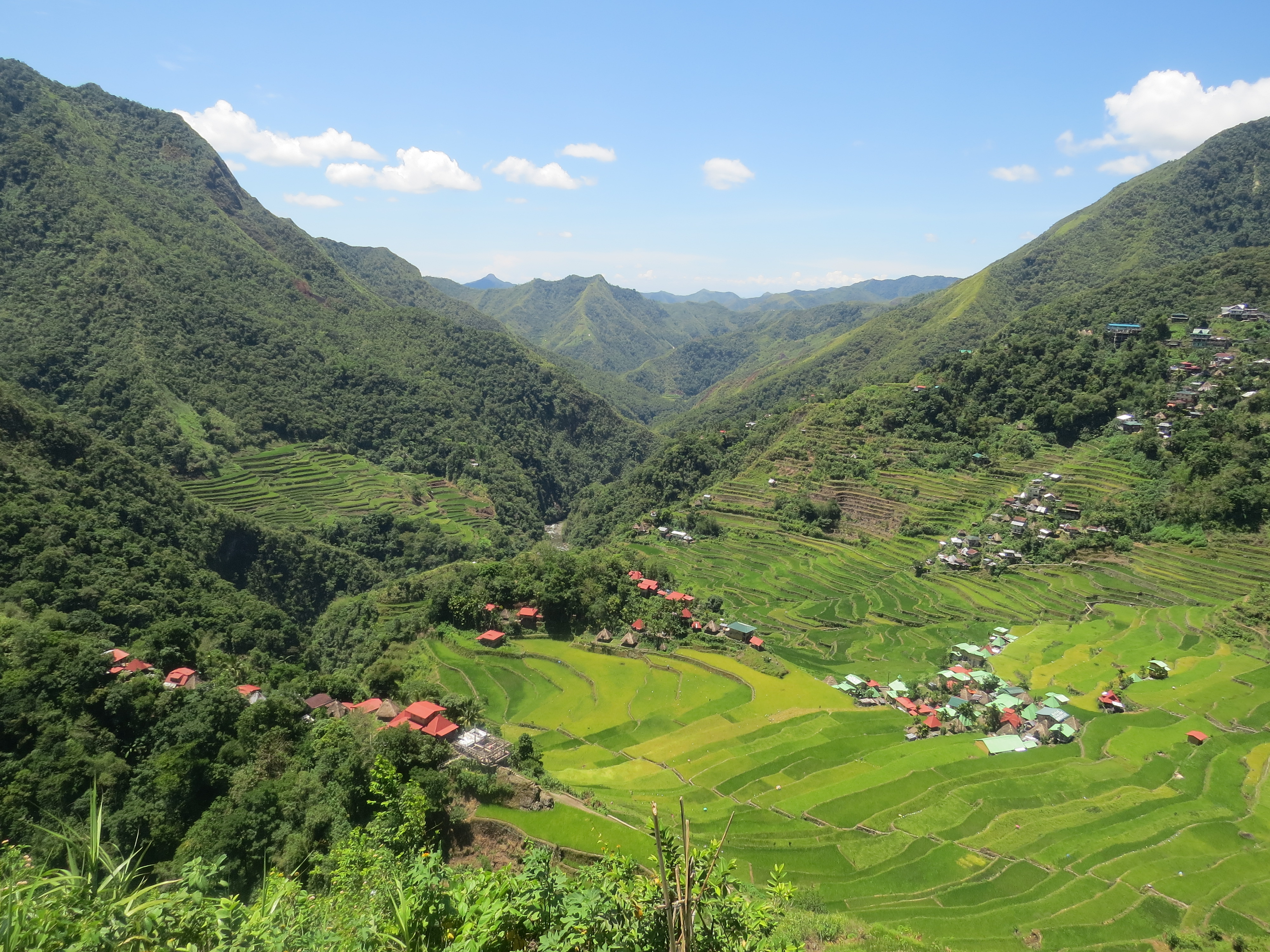 Vue rizières Batad