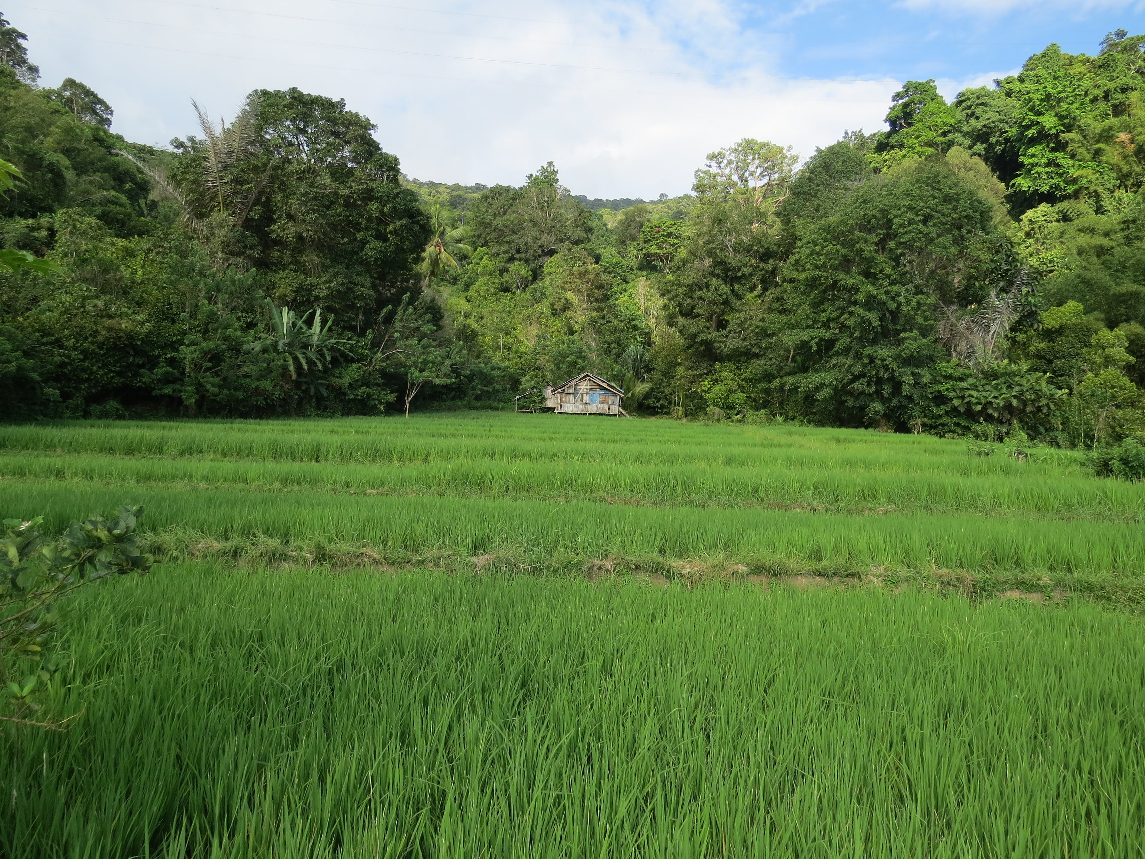 Tentena Lac Poso Sulawési