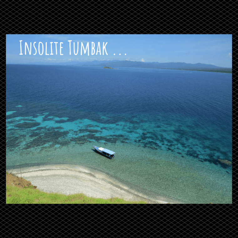 Tumbak Sulawesi Indonésie