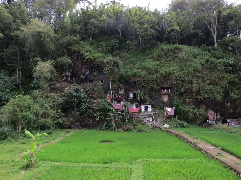 Stones graves de Lémo près de Rantepao
